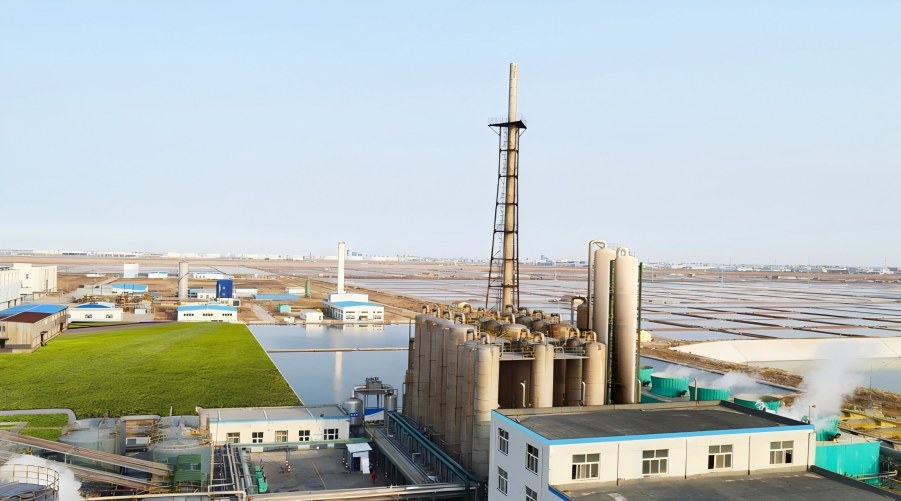 Shandong Hai Lan Chemical Industry